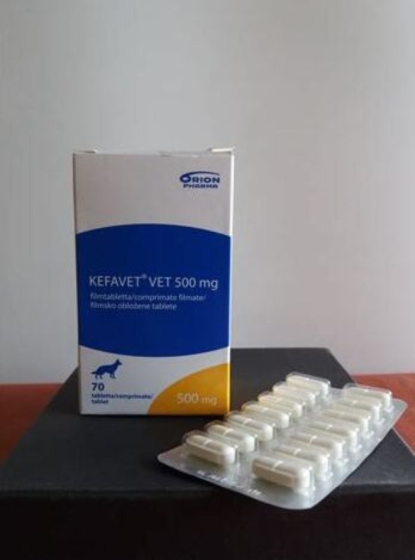 Weterynarium Sklep weterynaryjny online. - 01 Weterynarium Sklep weterynaryjny online. - 01