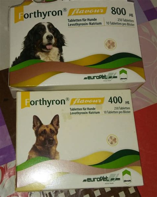 Weterynarium Sklep weterynaryjny online. - 03 Weterynarium Sklep weterynaryjny online. - 03