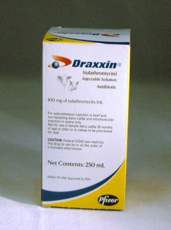 Weterynarium wylecz zwierzęta razem z nami - 03 Weterynarium wylecz zwierzęta razem z nami - 03