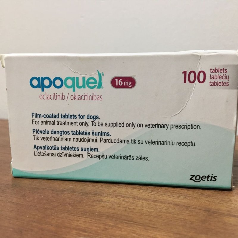 Weterynarium wylecz zwierzęta razem z nami - 07 Weterynarium wylecz zwierzęta razem z nami - 07