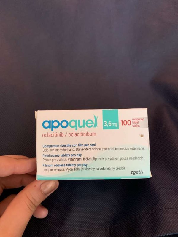 Weterynarium Lekarstwa weterynaryjne dla klientów - 03 Weterynarium Lekarstwa weterynaryjne dla klientów - 03