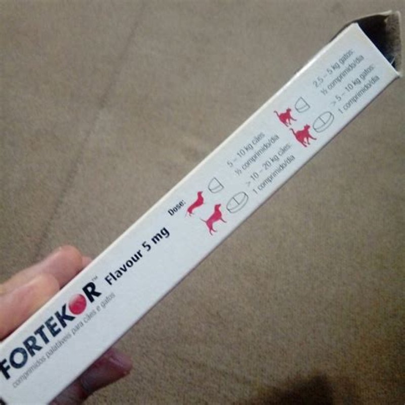 Weterynarium pomocna dłoń dla wszystkich zwierzą - 05 Weterynarium pomocna dłoń dla wszystkich zwierzą - 05