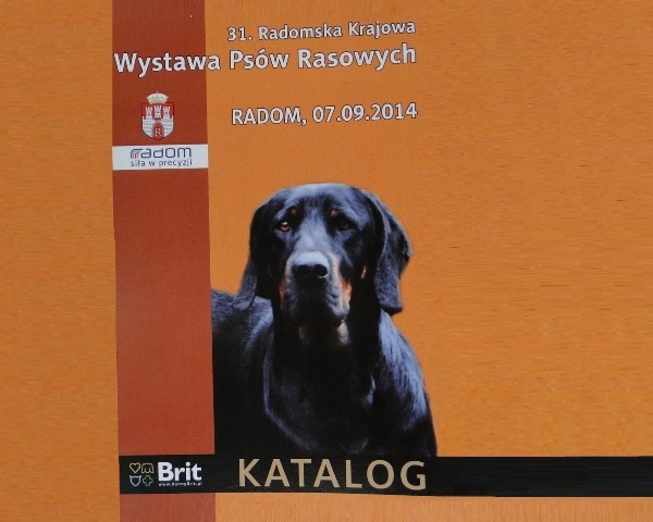 Reproduktor rasy GOŃCZY POLSKI zaprasza - 12 Reproduktor rasy GOŃCZY POLSKI zaprasza - 12