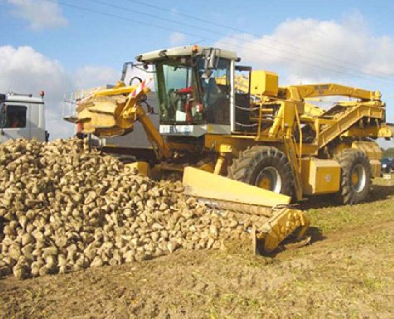 Wyslodki buraczane 25 zl/tona. Melasa cukrowa, pasza energetyczna - 01