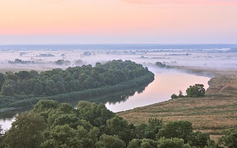 Wydzierzawie do zagospodarowania 200 zl/ha pasieka,sad,stawy rybne - 01