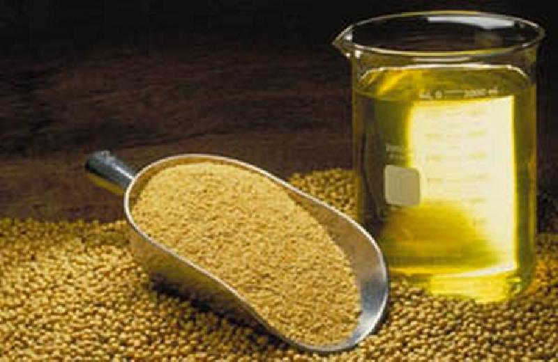 Soja 1,4 zl/kg. Tlocznia nasion oleistych. Przerob rzepaku, lnu