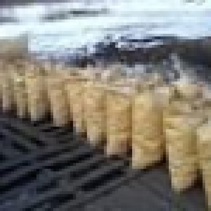 Ukraina.Wegiel drzewny 930 zl/tona,brykiety 240 zl/tona,carbon