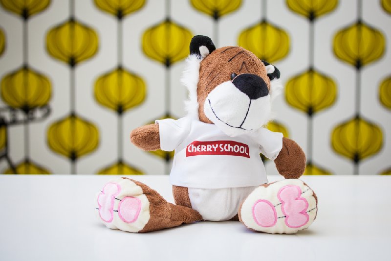 Hiszpański korepetycje/ kursy językowe na Tarchominie