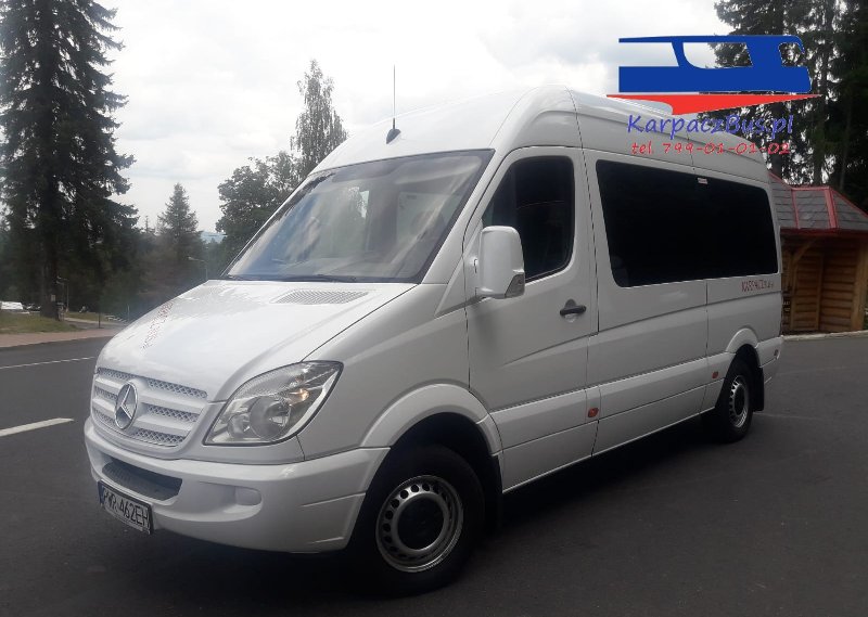 Transport osobowy, wynajem pojazdów dla firm, szkół itd ... - 02