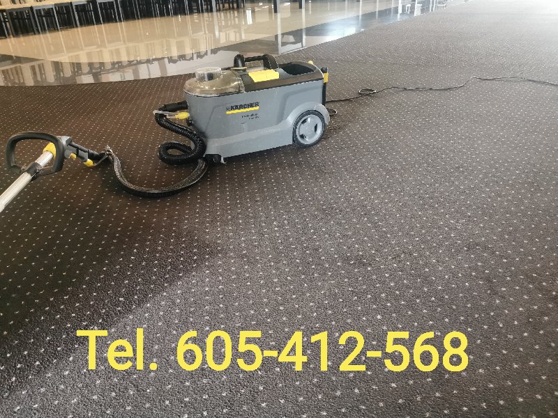 Karcher Rakoniewice pranie dywanów wykładzin tapicerki ozonowanie