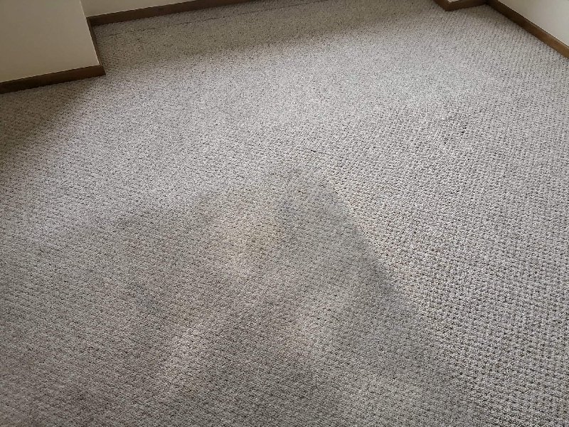 Chomęcice Karcher pranie dywanów wykładzin tapicerki ozonowanie - 03