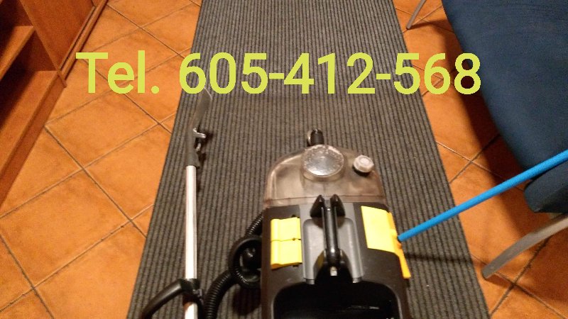 Karcher Krzywiń pranie czyszczenie wykładzin dywanów tapicerki ozonowa