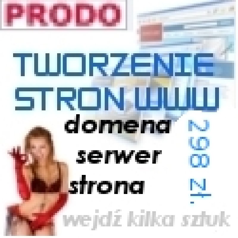 Wykonanie strony internetowej www Poznań tanio cena 298 zł. (brutto) ! - 01