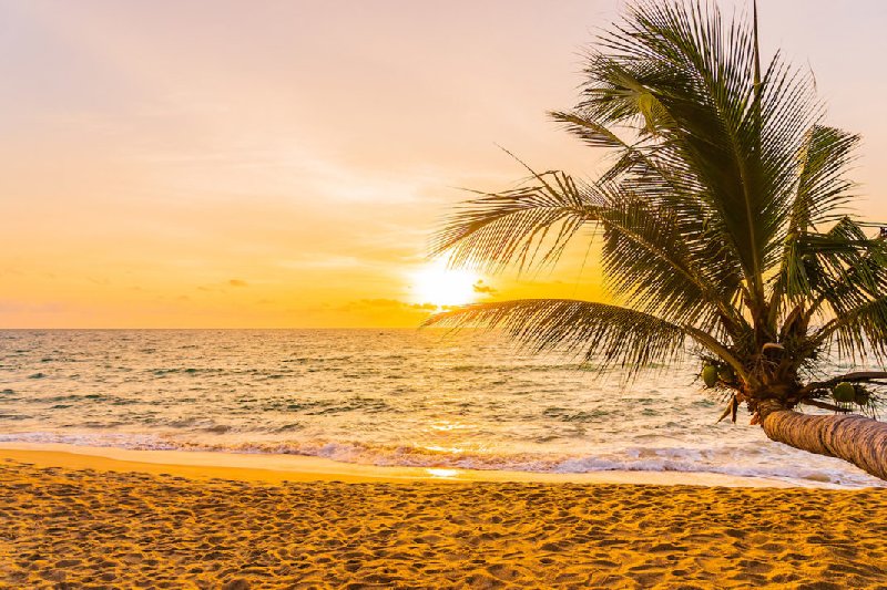 Costa Blanca dla 2 osób. Palmy, Słońce, Plaża + Morze.