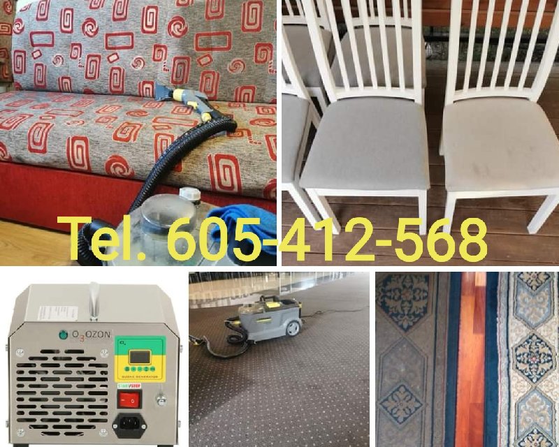 Karcher Tarnowo Podgórne pranie dywanów wykładzin tapicerki ozonowanie - 01