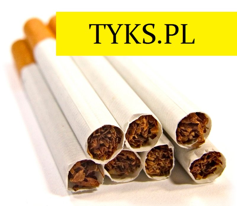 Tyton Virginia Tytoń tani 80 zł kg LM Marlboro Route PS