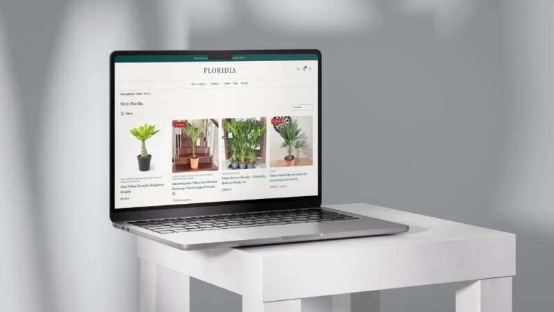 Strony internetowe, sklepy i automatyzacje AI - 01