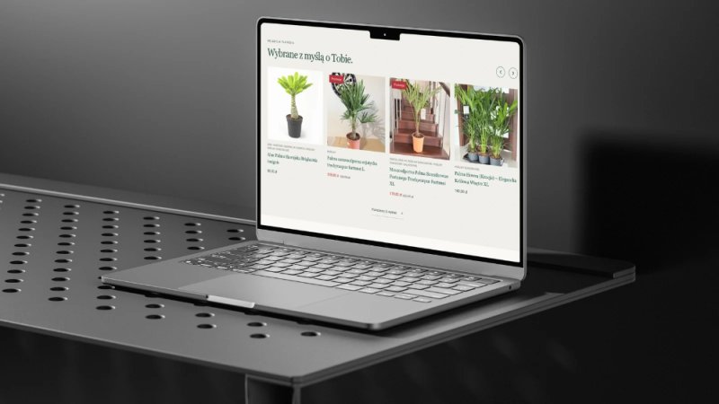 Strony internetowe, sklepy i automatyzacje AI - 04